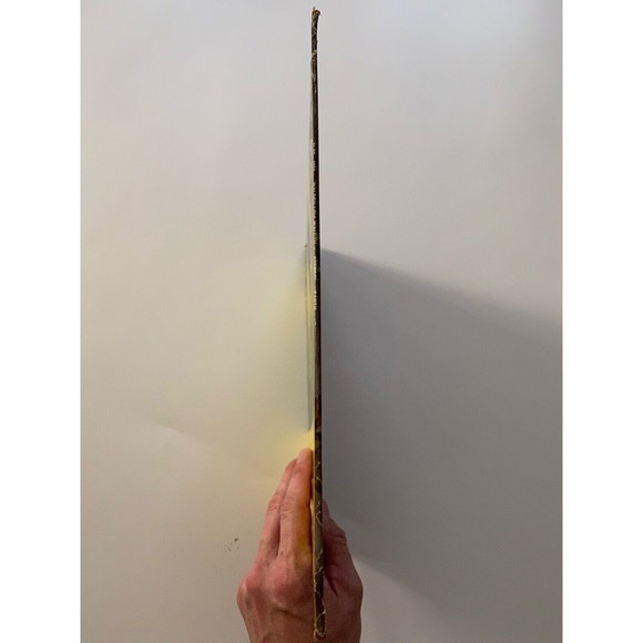 Louis Walden Self Titled 1969 LP Promotional Copy Earth Records ELPS-1001 EX - Picture 3 of 7